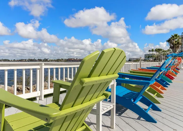 227-Wifi, New Paint, Amazing Views, Close To Bucs Stadium